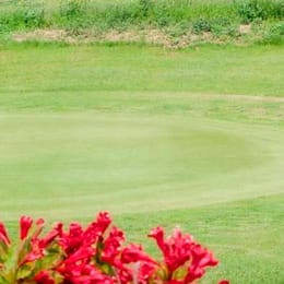 Daily Golf de Buc - Toussus Le Noble