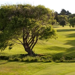 Waikanae Golf Club