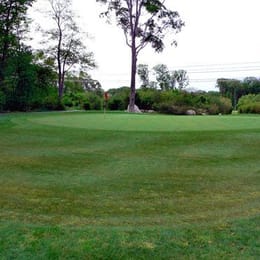 Swansea Country Club (Par 3)
