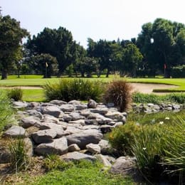 Deportivo Cocoyoc Club