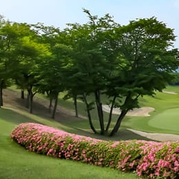 Kibougaoka Country Club