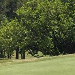 Mossy Creek Golf Course