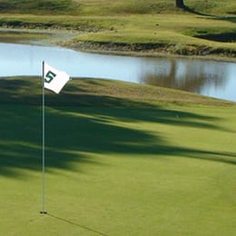 Lit'l Links Golf Club