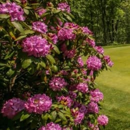 Ocean County Golf Course at Forge Pond