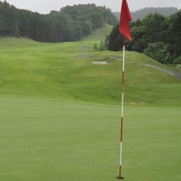 Shin Sapporo Washington Golf Club