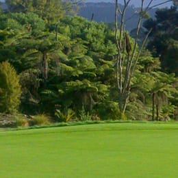 Huapai Golf Club