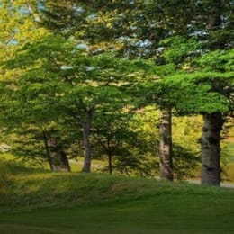 Hippo Valley Golf Club