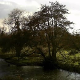 Glevering Mill Golf Course