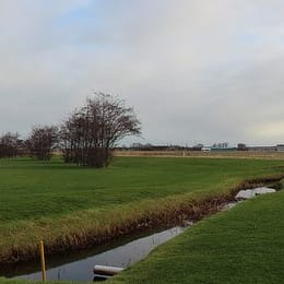 Marine Golfclub Nieuwediep