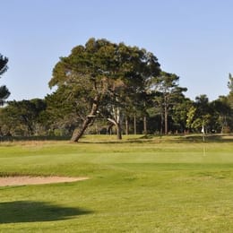 Little Walmer Golf Course