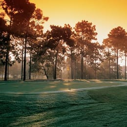 On Top of the World Golf Club Ocala (Tortoise and the Hare)