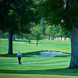 On Top of the World Golf Club Ocala (The Links)