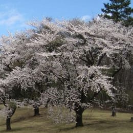 Akagi Kokusai Country Club