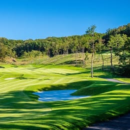 Ray Castle Golf & Resort