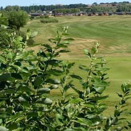 Heacham Manor Golf Club