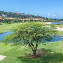 Blue Bay Golf & Beach Resort