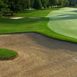 The Thornhill Club (Championship)