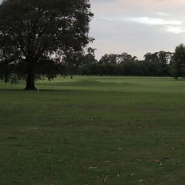 Media Luna Polo Club