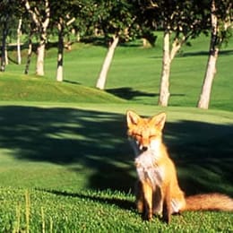 Teshikawa Country Club