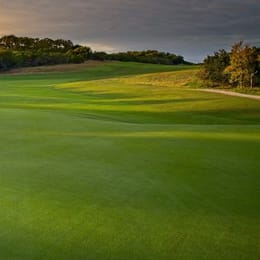 Kissing Tree Golf Club