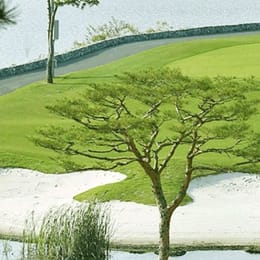 All'Day Imperial Lake