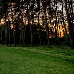 Jammerbugtens Golfklub