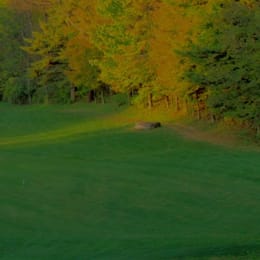 Milestone Golf Course