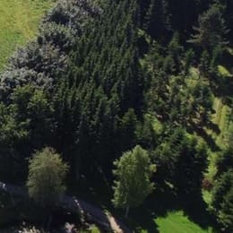 Tollundgaard Golf Park