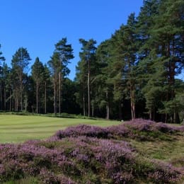 Royal Ashdown Forest Golf Club (Old)