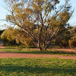 Mukinbudin Golf Club