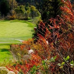 The Club at North Halton