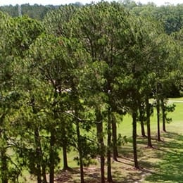 Tired Creek Golf Course