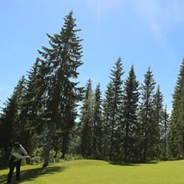 Helgeland Golfklubb