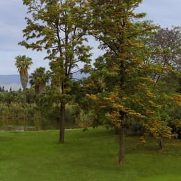 Gaudí Golf Club
