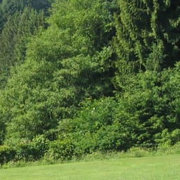 Golfclub Geierstal