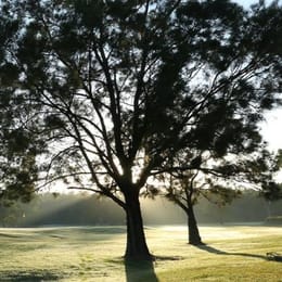 Meadowbrook Golf Club