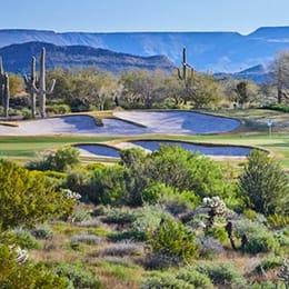 Anthem Golf & Country Club (Persimmon)
