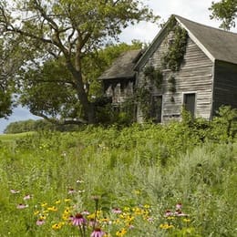 Wildflower Golf Course