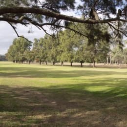 Muswellbrook Golf Club