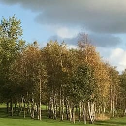 Leeuwarder Golfclub De Groene Ster (Par 3)