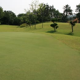 Yeongjae Par 3 Golf Land