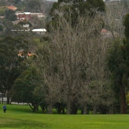 Wattle Park Golf Course