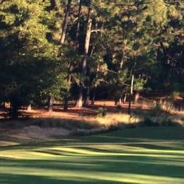 Pinewild Country Club (Azalea)