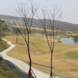 Route 52 Country Club