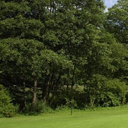 Golfclub Bad Bramstedt