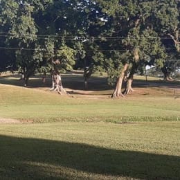 Brechin Castle Golf Club