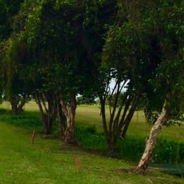 Golf Club Les Nyaoulis - Port Gentil