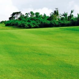 Southlinks Golf Club