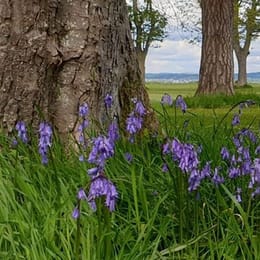 Dalmeny Estate Golf Club