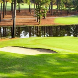 Forest Creek Golf Club (South)